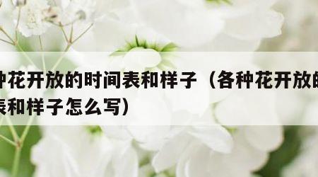 各种花开放的时间表和样子（各种花开放的时间表和样子怎么写）