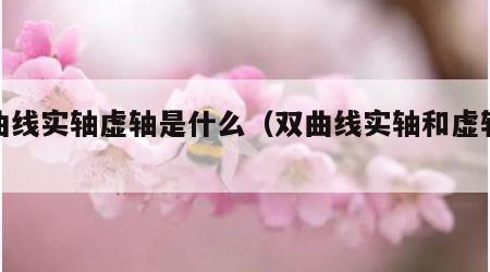 双曲线实轴虚轴是什么（双曲线实轴和虚轴公式）