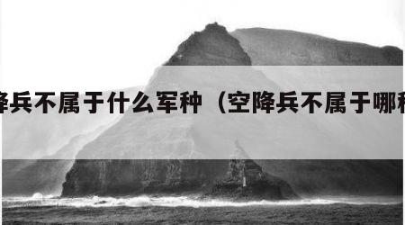 空降兵不属于什么军种（空降兵不属于哪种兵种）