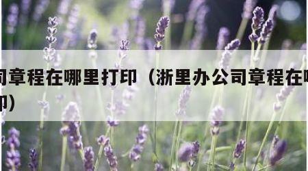 公司章程在哪里打印（浙里办公司章程在哪里打印）