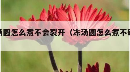 冻汤圆怎么煮不会裂开（冻汤圆怎么煮不破绝招）