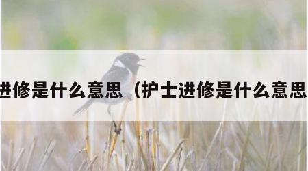 进修是什么意思（护士进修是什么意思）