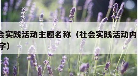 社会实践活动主题名称（社会实践活动内容100字）