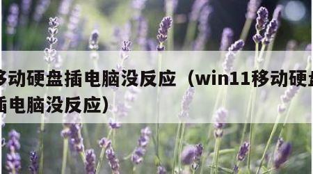 移动硬盘插电脑没反应（win11移动硬盘插电脑没反应）