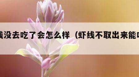 虾线没去吃了会怎么样（虾线不取出来能吃吗）