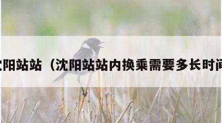 沈阳站站（沈阳站站内换乘需要多长时间）