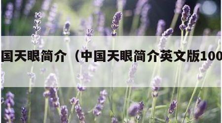 中国天眼简介（中国天眼简介英文版100字）
