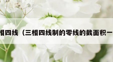 三相四线（三相四线制的零线的截面积一般）