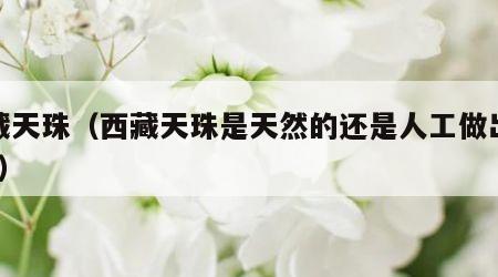西藏天珠（西藏天珠是天然的还是人工做出来的?）