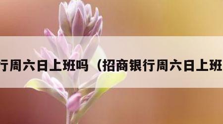 银行周六日上班吗（招商银行周六日上班吗）