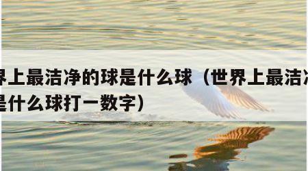 世界上最洁净的球是什么球（世界上最洁净的球是什么球打一数字）