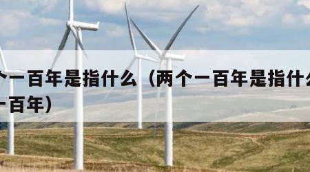 两个一百年是指什么（两个一百年是指什么成立一百年）