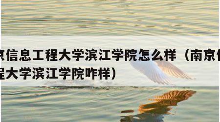 南京信息工程大学滨江学院怎么样（南京信息工程大学滨江学院咋样）