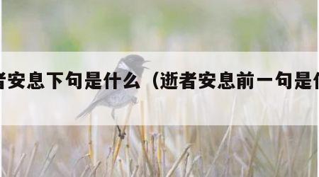 逝者安息下句是什么（逝者安息前一句是什么）
