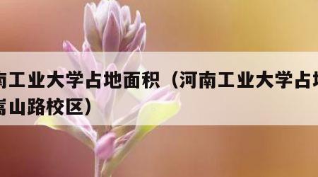 河南工业大学占地面积（河南工业大学占地面积嵩山路校区）