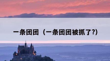 一条团团（一条团团被抓了?）