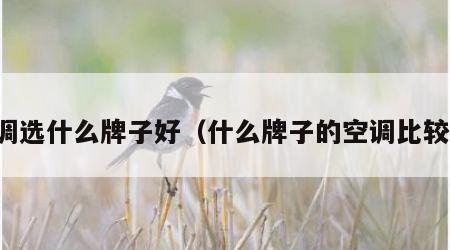 空调选什么牌子好（什么牌子的空调比较好）