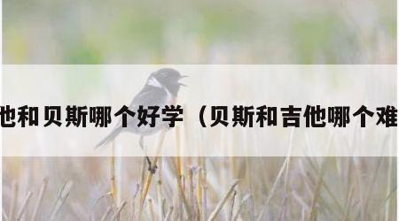 吉他和贝斯哪个好学（贝斯和吉他哪个难学）