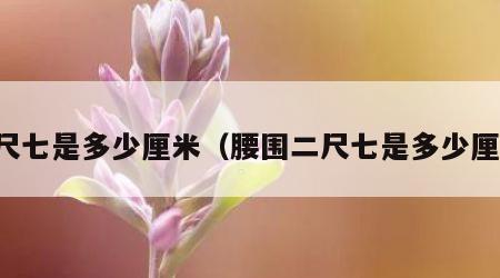 二尺七是多少厘米（腰围二尺七是多少厘米）