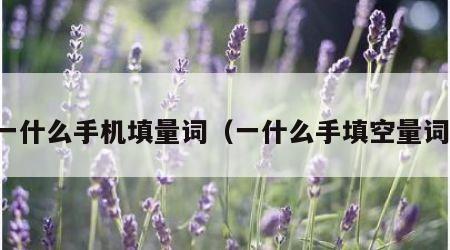 一什么手机填量词（一什么手填空量词）