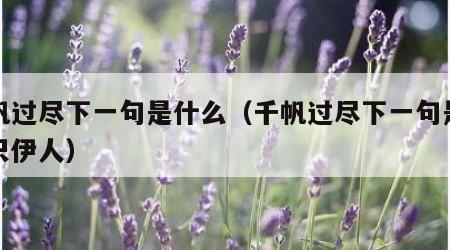 千帆过尽下一句是什么（千帆过尽下一句是什么只伊人）