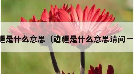 边疆是什么意思（边疆是什么意思请问一下）
