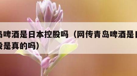 青岛啤酒是日本控股吗（网传青岛啤酒是日本控股是真的吗）
