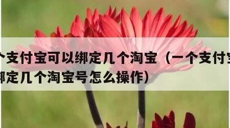 一个支付宝可以绑定几个淘宝（一个支付宝可以绑定几个淘宝号怎么操作）