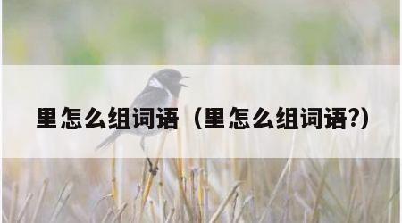 里怎么组词语（里怎么组词语?）