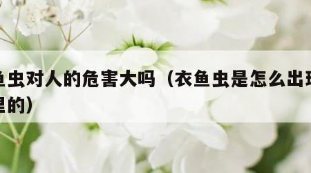 衣鱼虫对人的危害大吗（衣鱼虫是怎么出现在家里的）