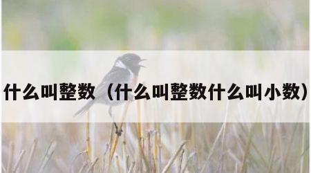 什么叫整数（什么叫整数什么叫小数）