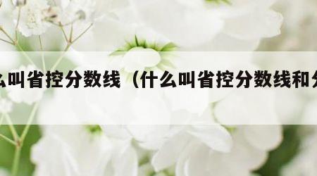 什么叫省控分数线（什么叫省控分数线和分数线）