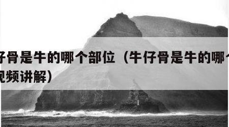 牛仔骨是牛的哪个部位（牛仔骨是牛的哪个部位视频讲解）