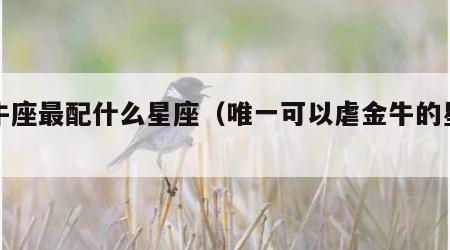 金牛座最配什么星座（唯一可以虐金牛的星座）
