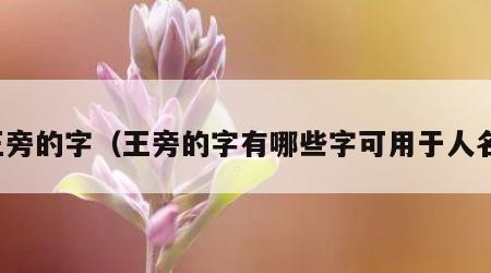 王旁的字（王旁的字有哪些字可用于人名）