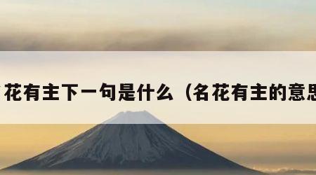 名花有主下一句是什么（名花有主的意思）