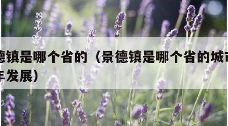 景德镇是哪个省的（景德镇是哪个省的城市近几年发展）