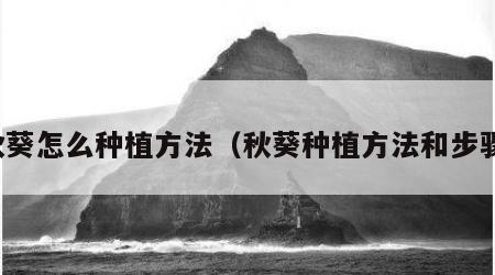 秋葵怎么种植方法（秋葵种植方法和步骤）