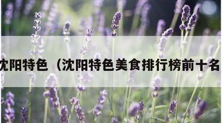 沈阳特色（沈阳特色美食排行榜前十名）