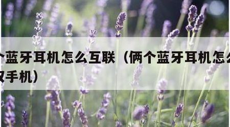 两个蓝牙耳机怎么互联（俩个蓝牙耳机怎么连接双手机）