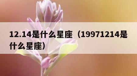 12.14是什么星座（19971214是什么星座）