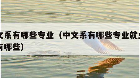 中文系有哪些专业（中文系有哪些专业就业方向有哪些）