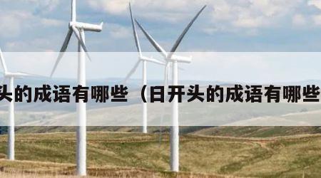 头的成语有哪些（日开头的成语有哪些）