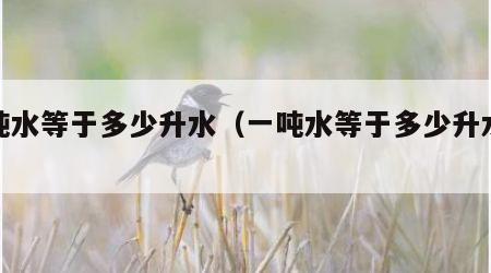 一吨水等于多少升水（一吨水等于多少升水表）