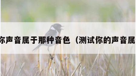 测你声音属于那种音色（测试你的声音属性）