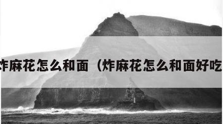 炸麻花怎么和面（炸麻花怎么和面好吃）