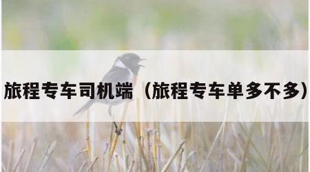 旅程专车司机端（旅程专车单多不多）