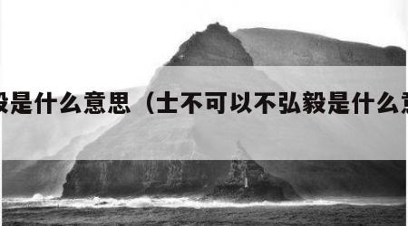 弘毅是什么意思（士不可以不弘毅是什么意思）
