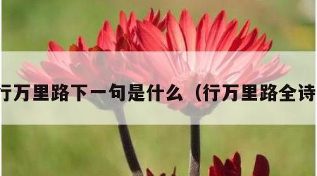 行万里路下一句是什么（行万里路全诗）
