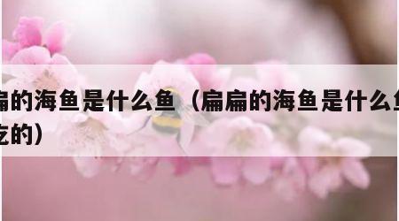 扁扁的海鱼是什么鱼（扁扁的海鱼是什么鱼可以吃的）